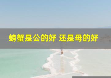 螃蟹是公的好 还是母的好